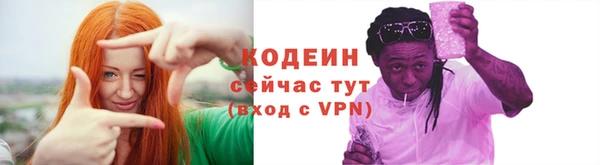 apvp Вяземский